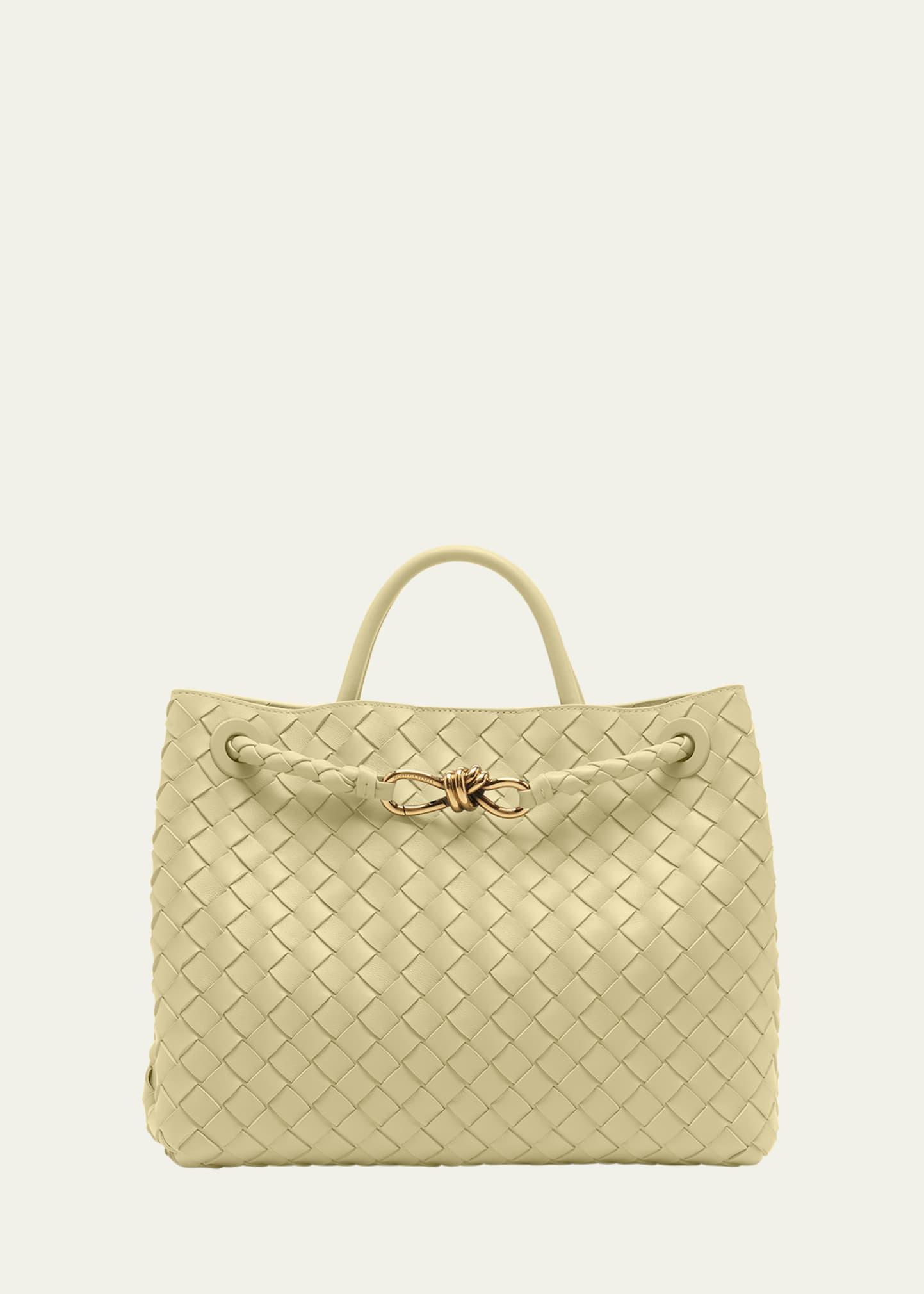 Medium Andiamo Bag Product Image