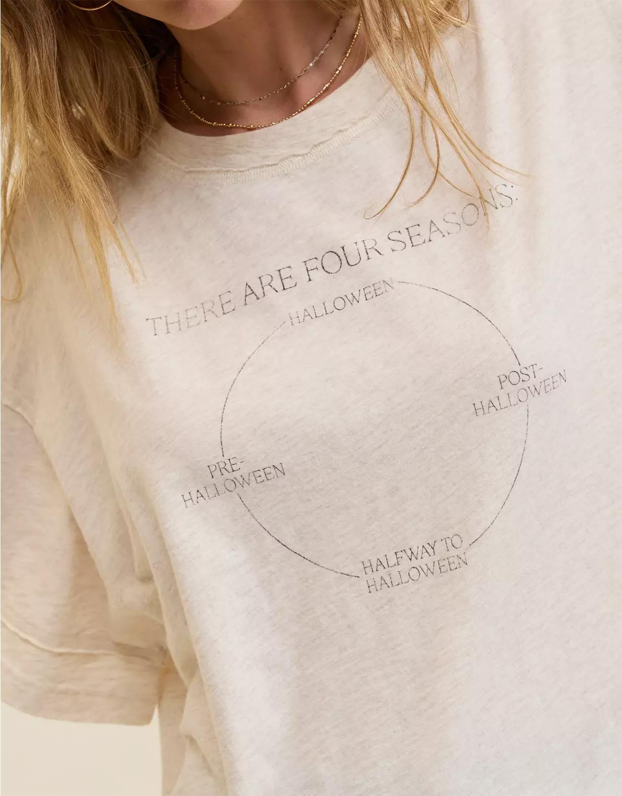 Aerie Oversized Crew Boyfriend T-Shirt Product Image