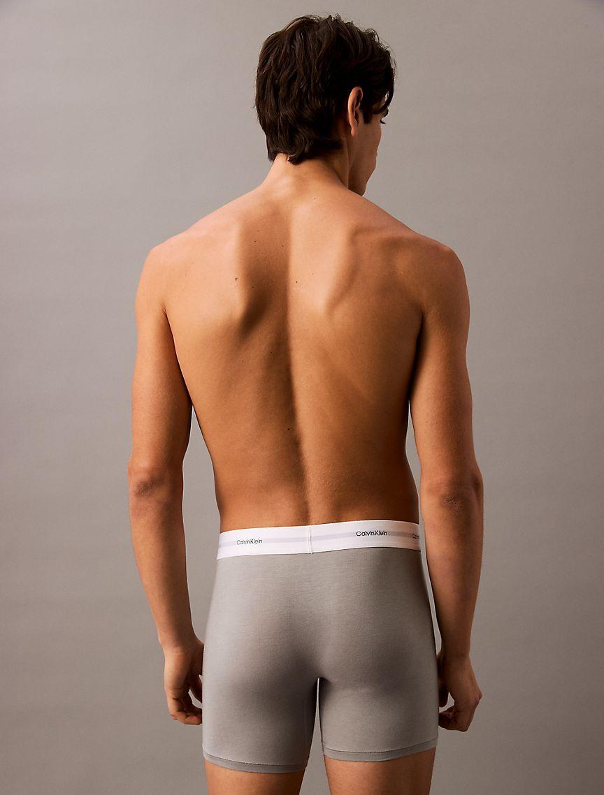 Cotton Modal Stretch 3-Pack Boxer Brief Product Image