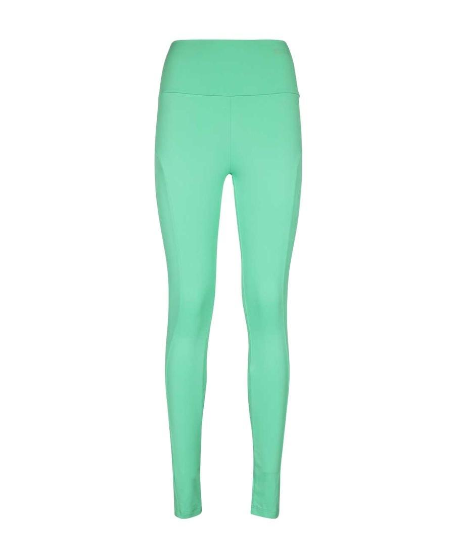 MSGM Logo Leggings In Green Product Image