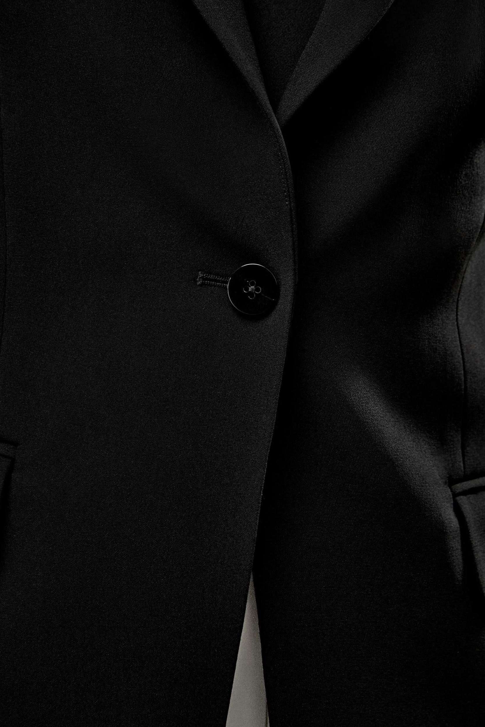 Silk Sleek Blazer Product Image