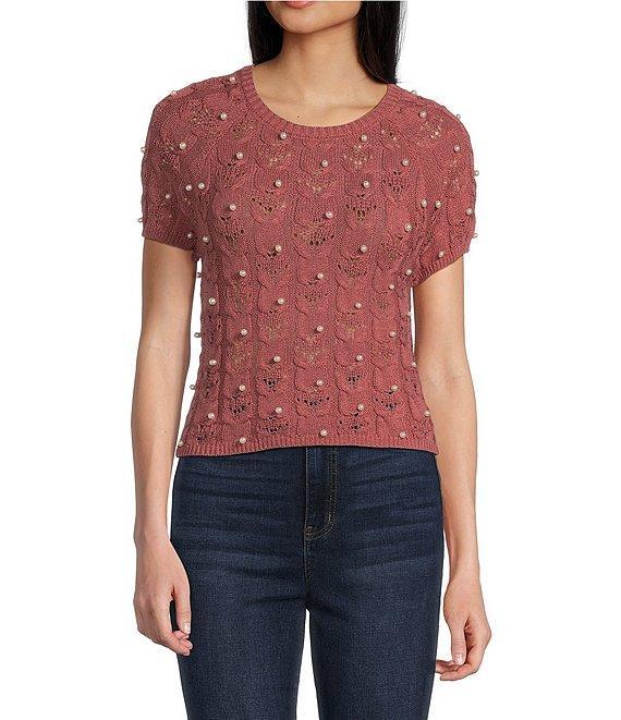 Evolutionary Short Sleeve Crewneck Allover Pearl Sweater Product Image