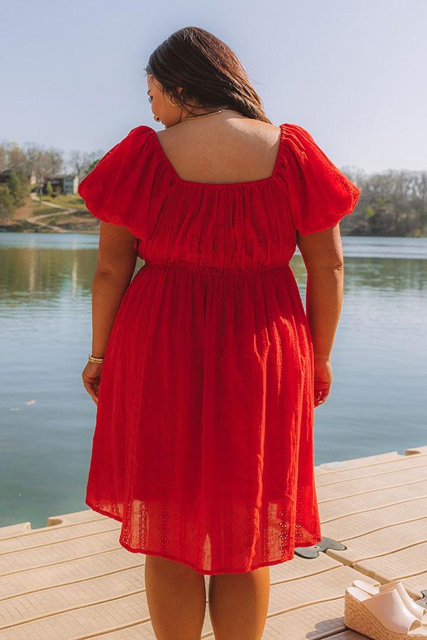 Patio Vibes Eyelet Mini Dress Curves Product Image