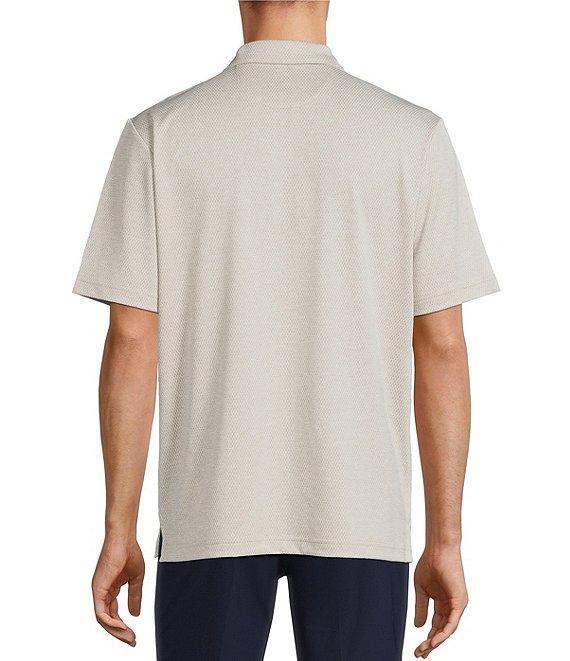 Roundtree & Yorke Big & Tall Performance Short Sleeve Solid Textured Polo Shirt Product Image
