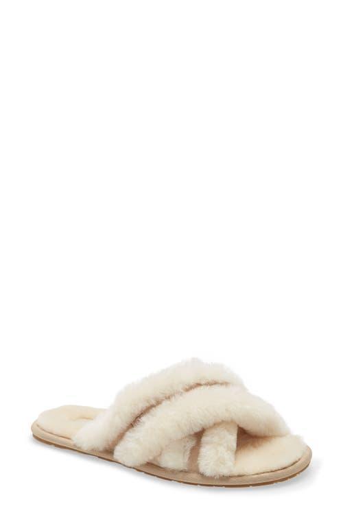 UGG Scuffita Women's Shoes Product Image