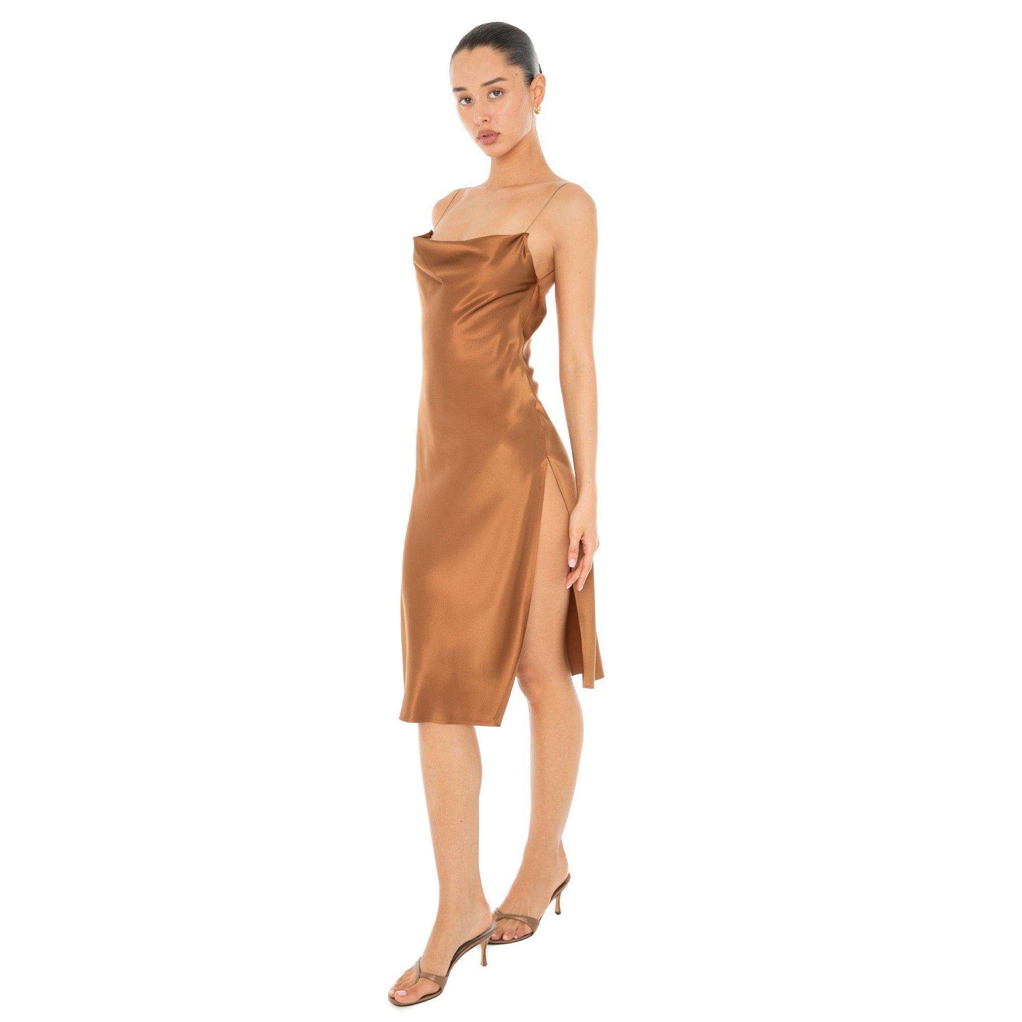 Nique Dress Product Image