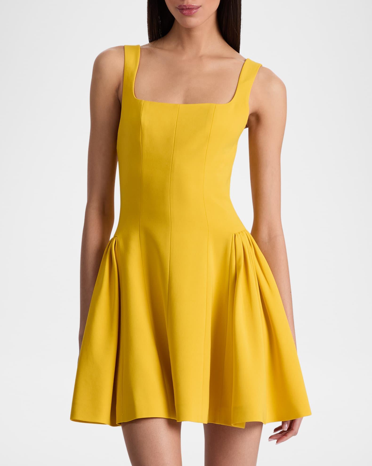 Vera Fit-and-Flare Mini Dress Product Image