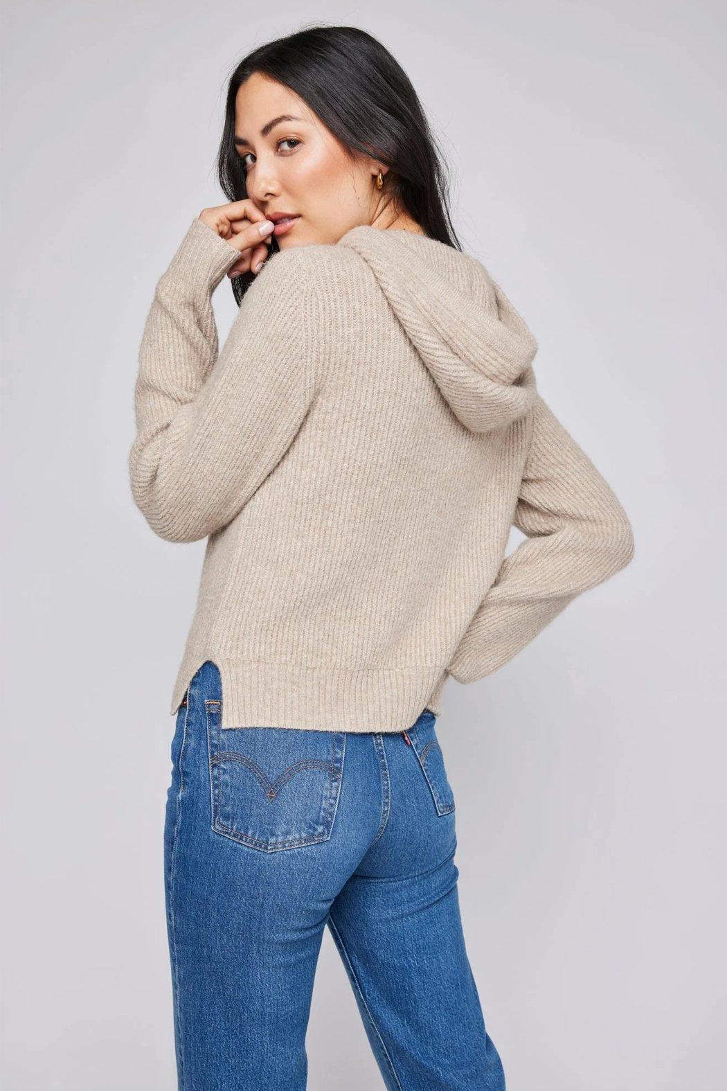 Alanis Hooded Sweater Product Image