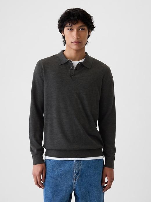 Merino Polo Sweater Product Image