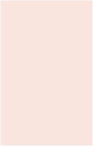 Bridesmaid Fabric Swatch ~ Dusty Blush Crisp Product Image