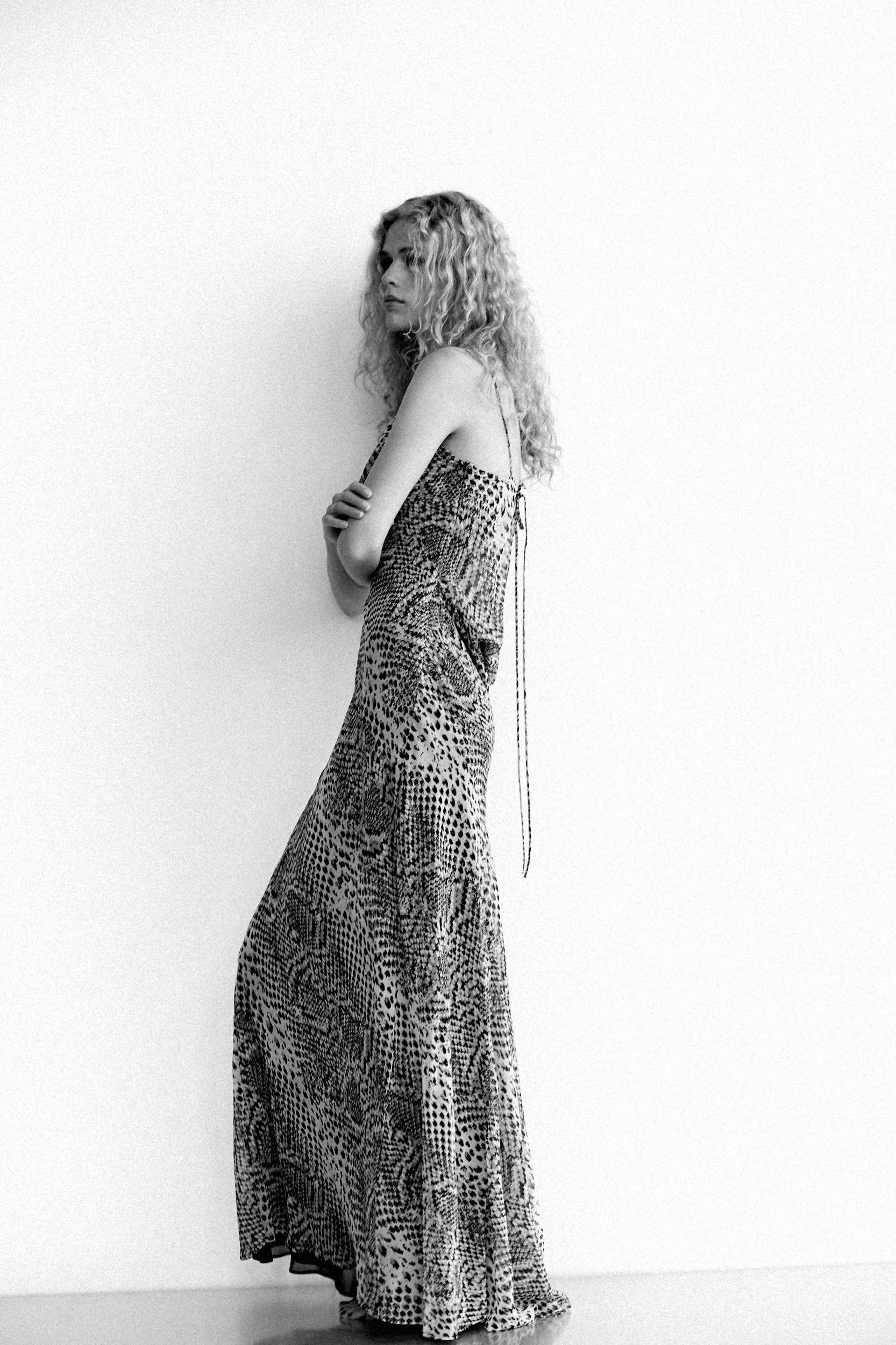 LONG ANIMAL PRINT DRESS Product Image