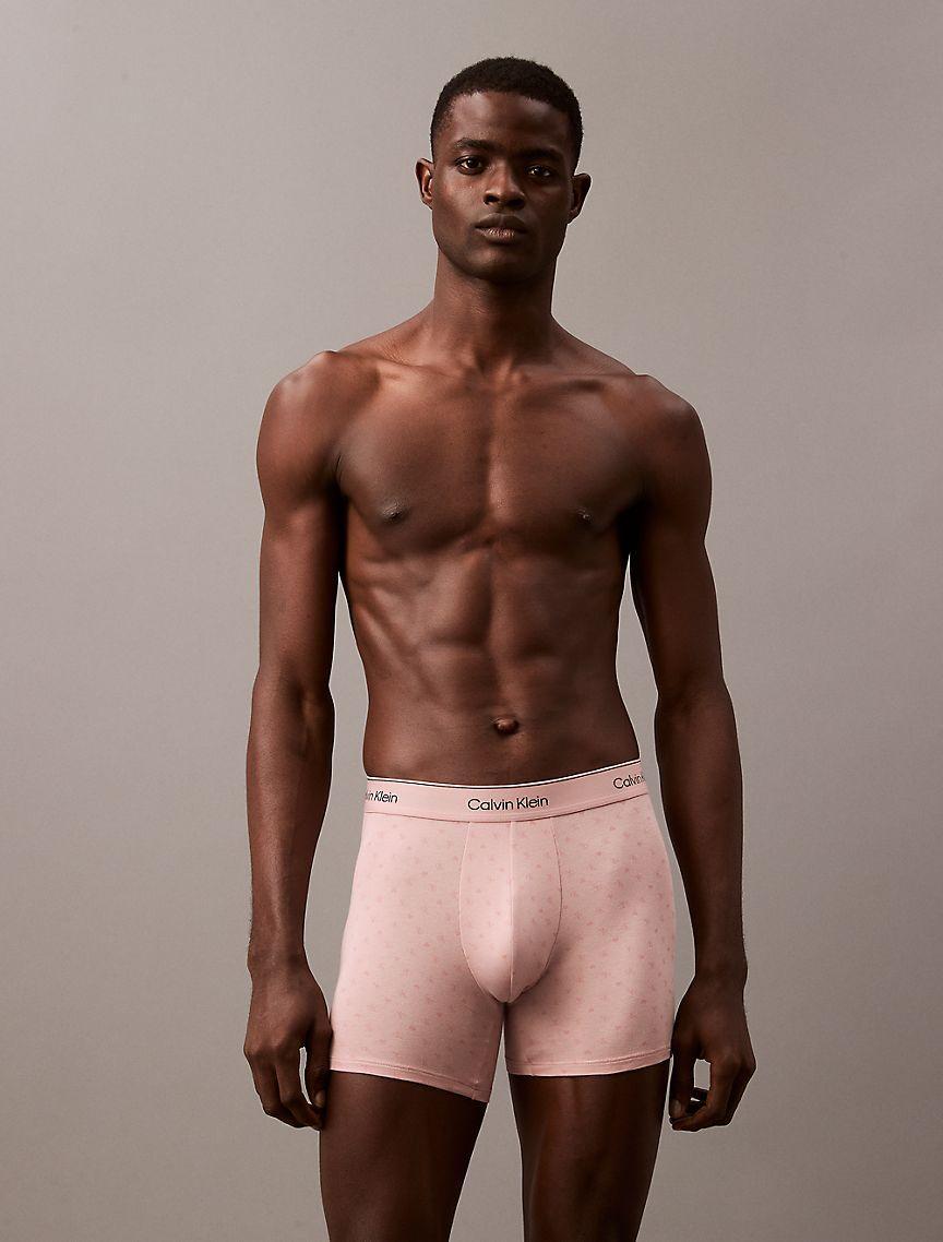 Icon Cotton Stretch V-Day Boxer Brief Product Image