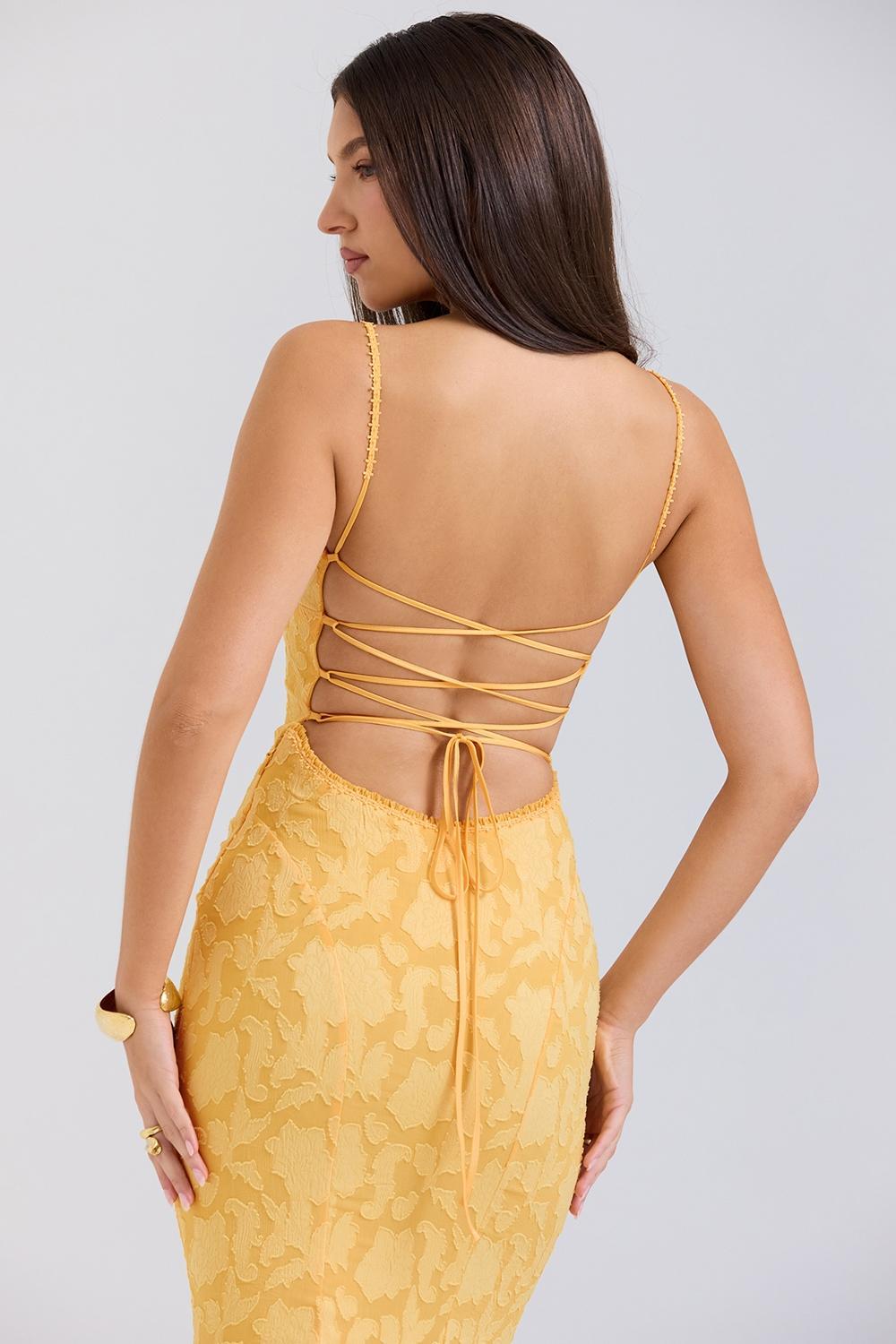 Joan  apricot lace up back maxi dress Product Image