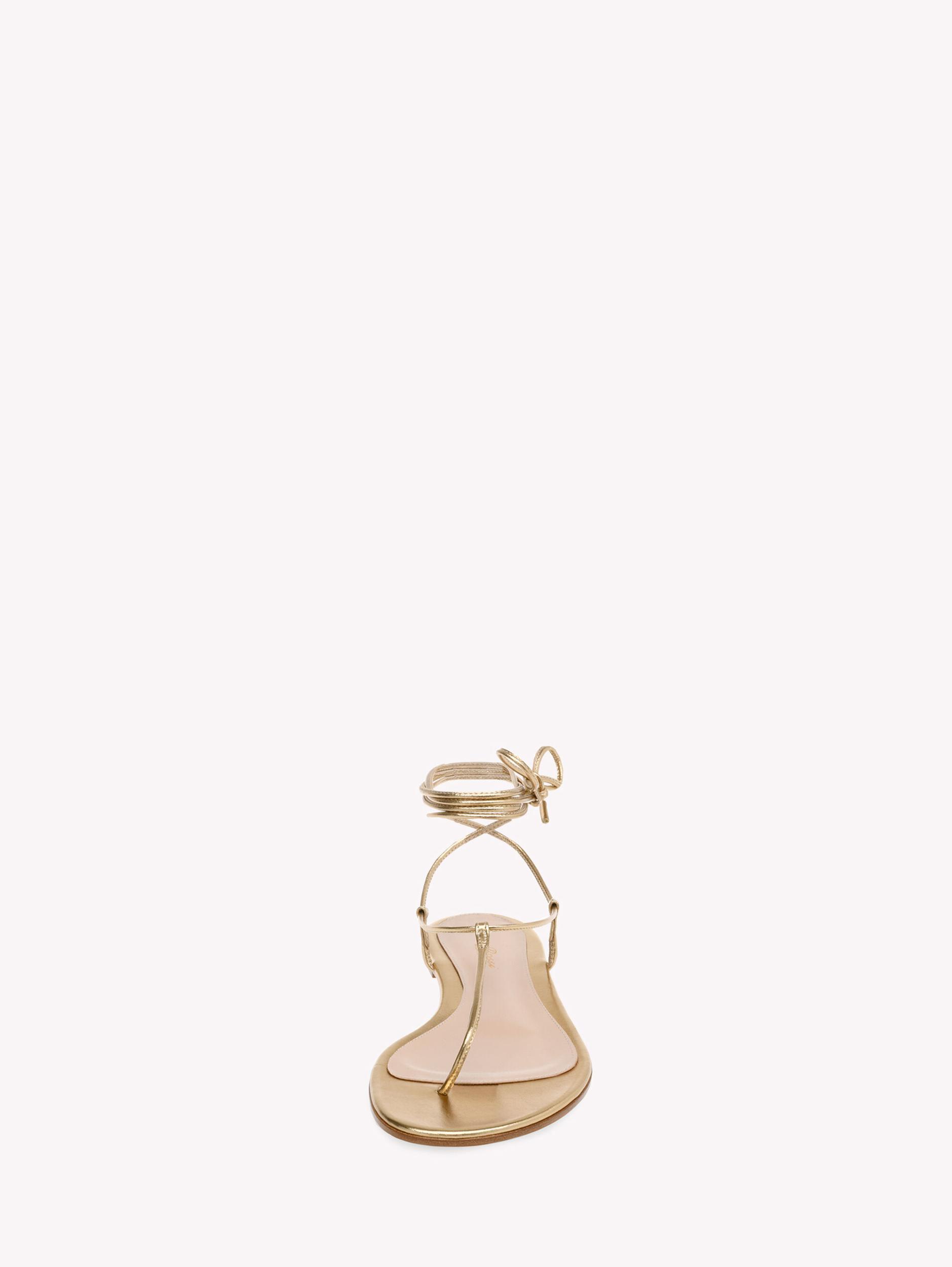 GWYNETH FLAT Gianvito Rossi Product Image