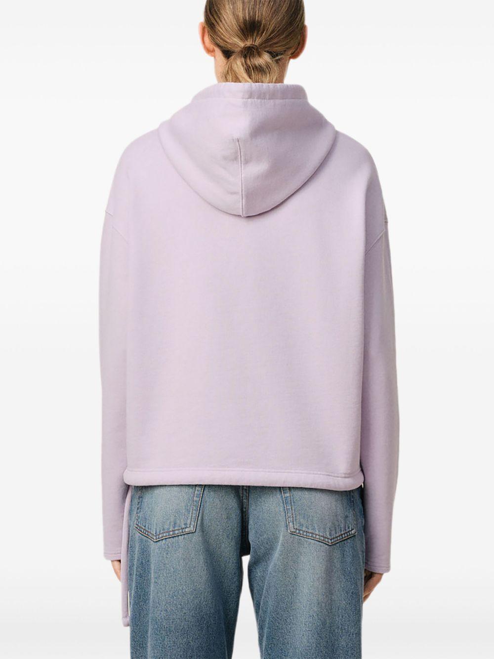 Ami de Coeur hoodie Product Image