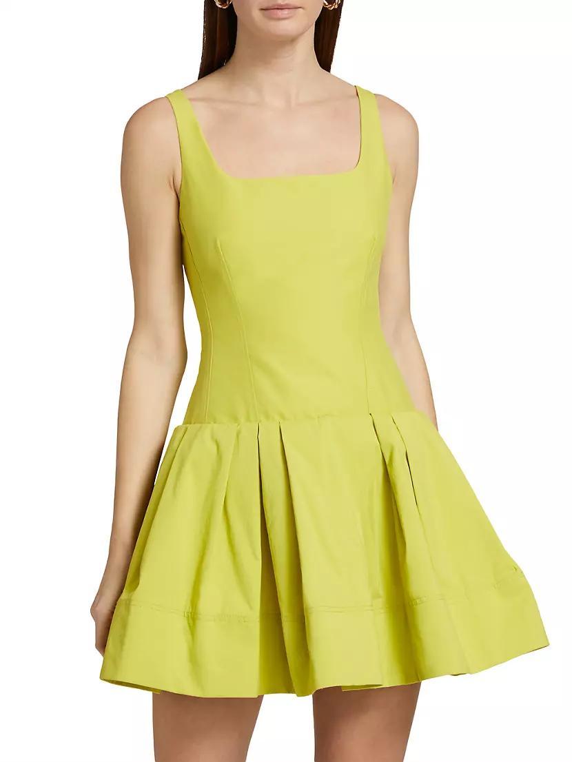 Lucy Fit & Flare Pleated Minidress Product Image