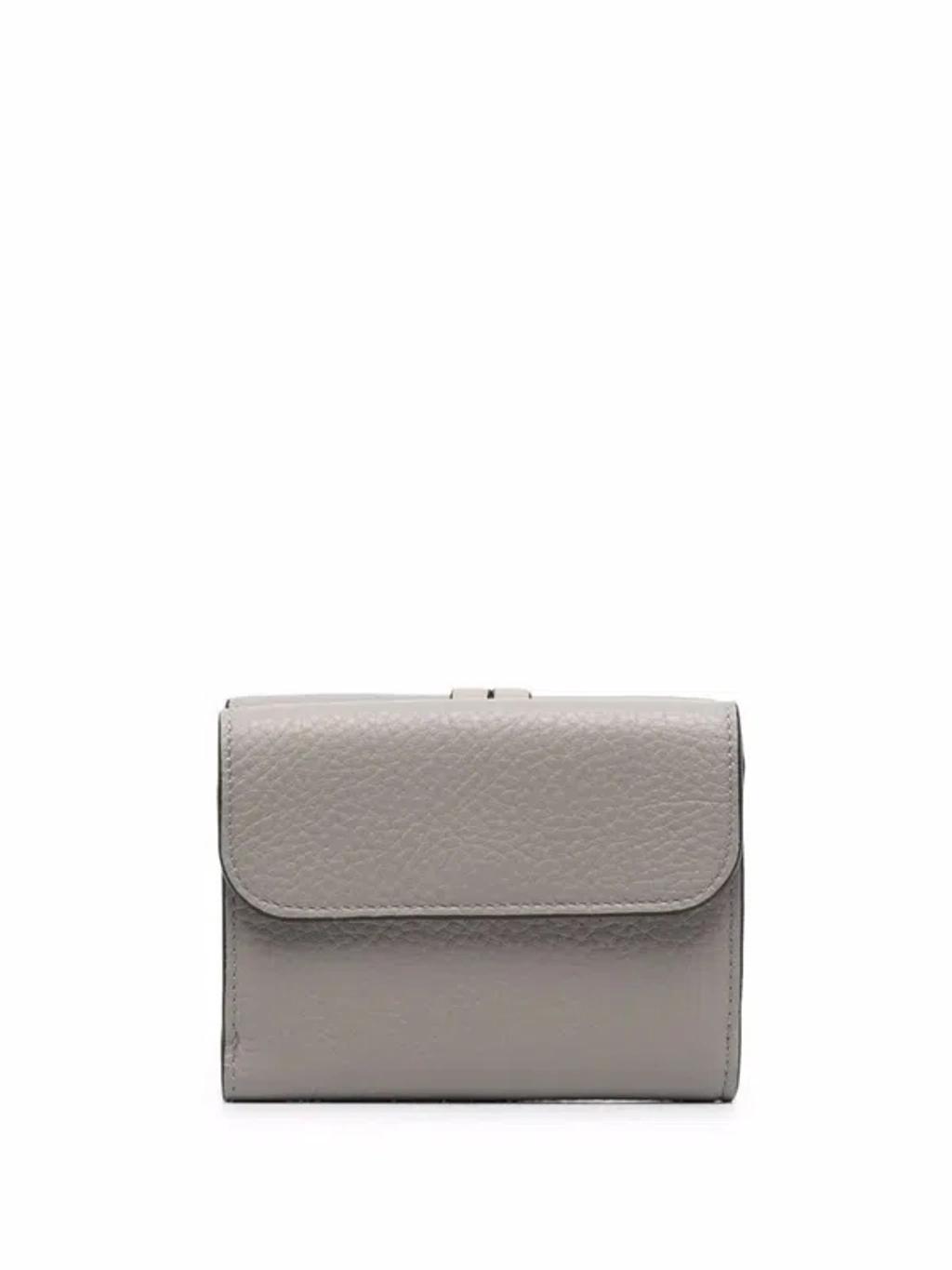 CHLOÉ Small Leather Goods In Cashmere Grey Product Image