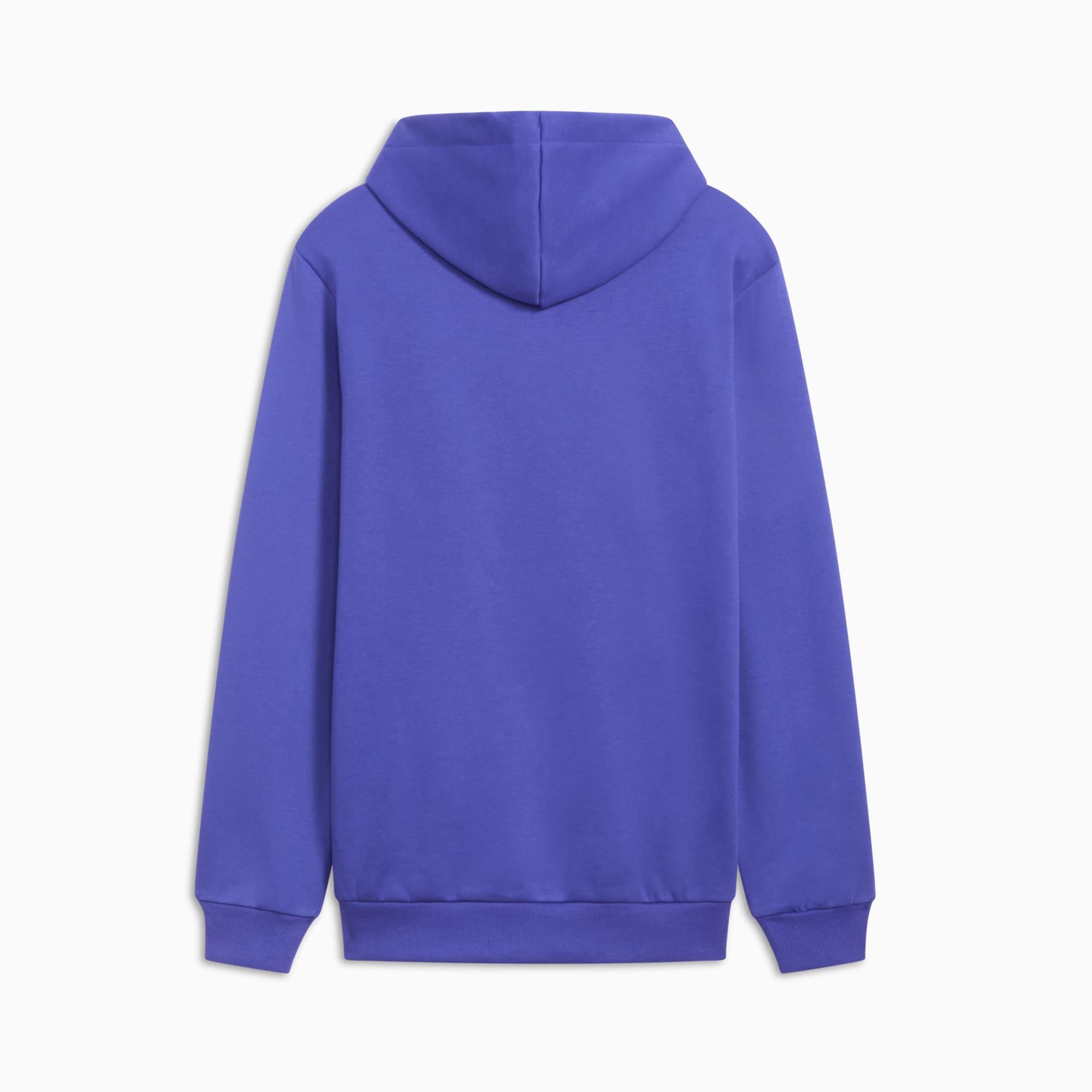 Big Cat Men's Logo Hoodie Product Image