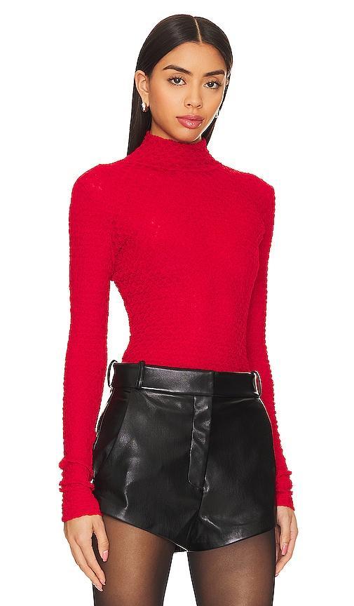 Frame Mesh Lace Turtleneck Top Product Image