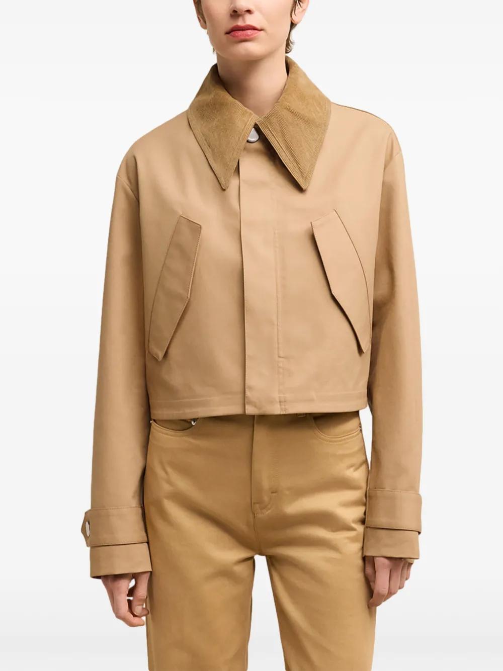 corduroy collar jacket  Product Image