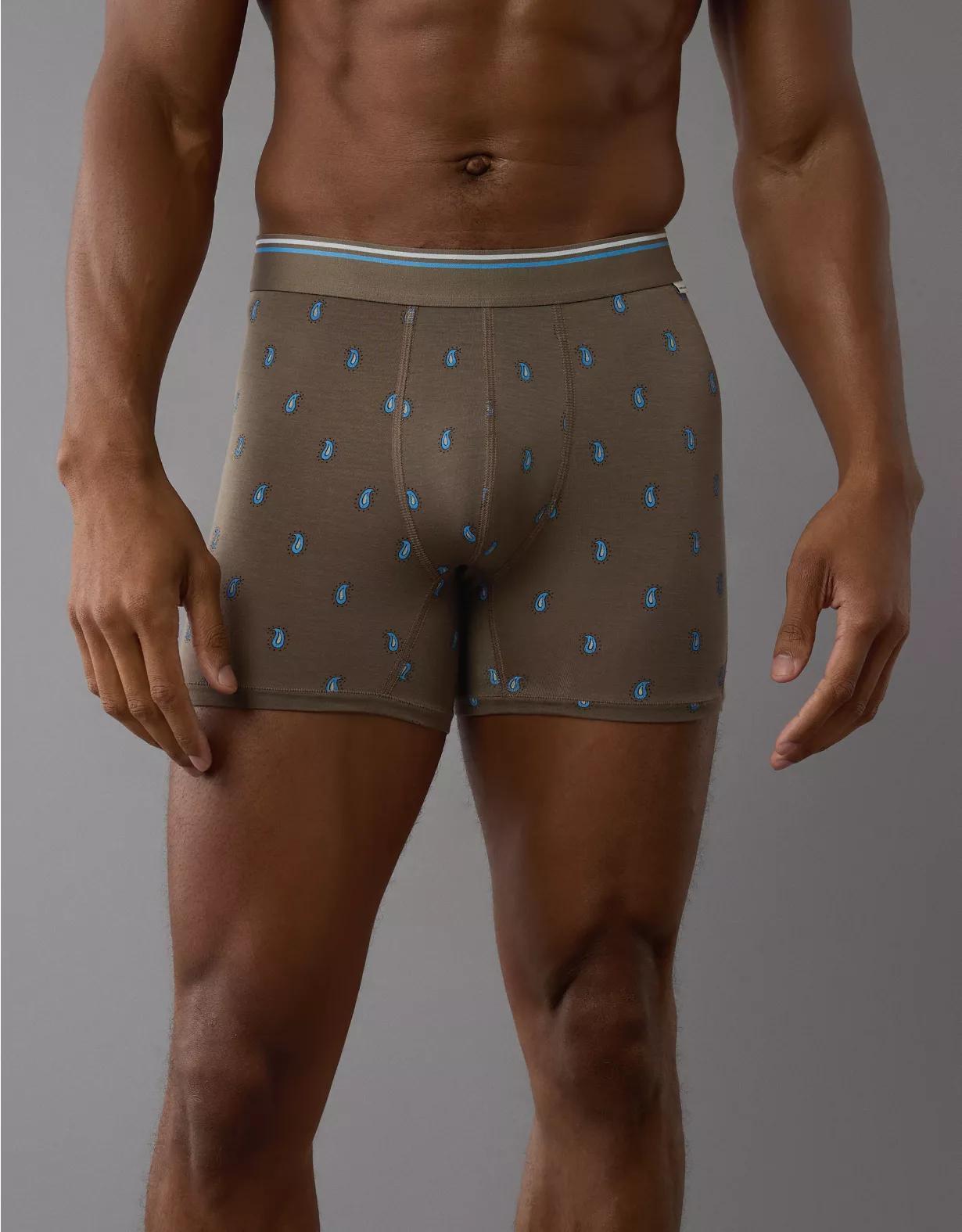 AEO Men's Paisley 4.5" Ultra Soft Boxer Brief Product Image