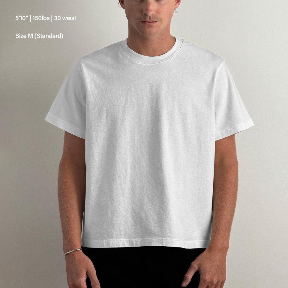 Silverlake Crop Tee II Product Image