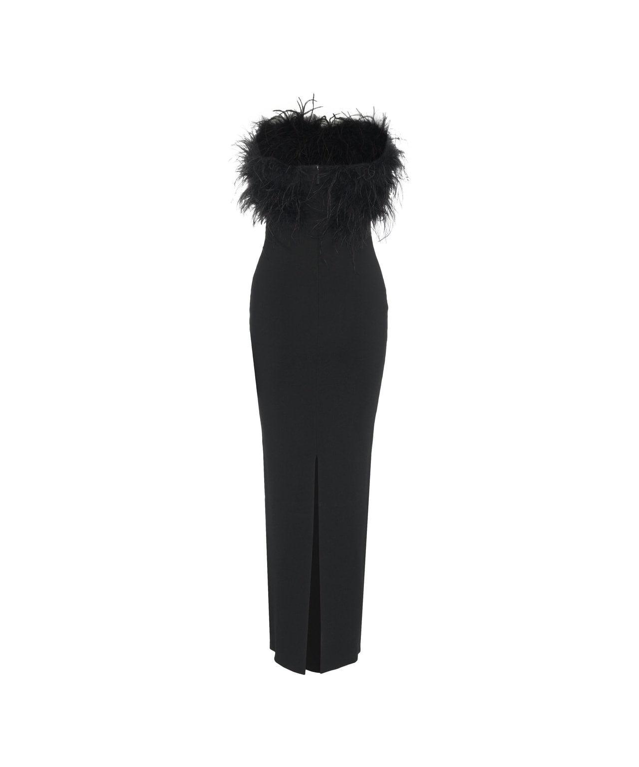 Maxi dress with feathers Product Image