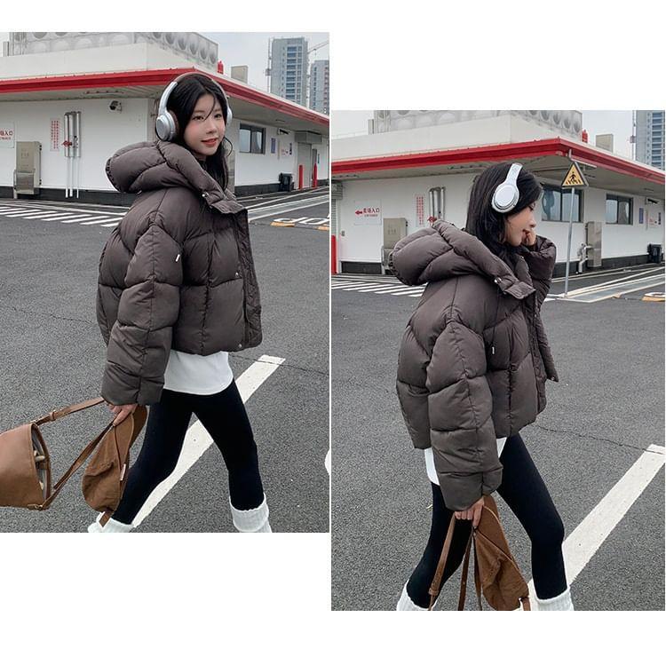 Plain Hooded Zip-Up Crop Puffer Jacket Product Image