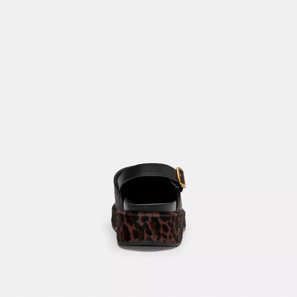 Product Card