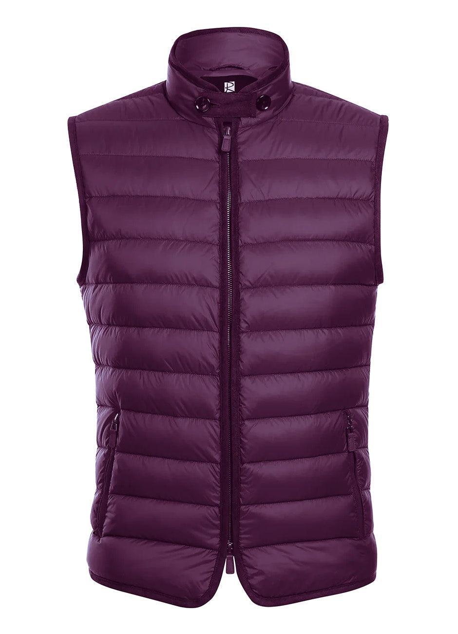 Navy Regular Classic Fit Goose Down Vest Product Image