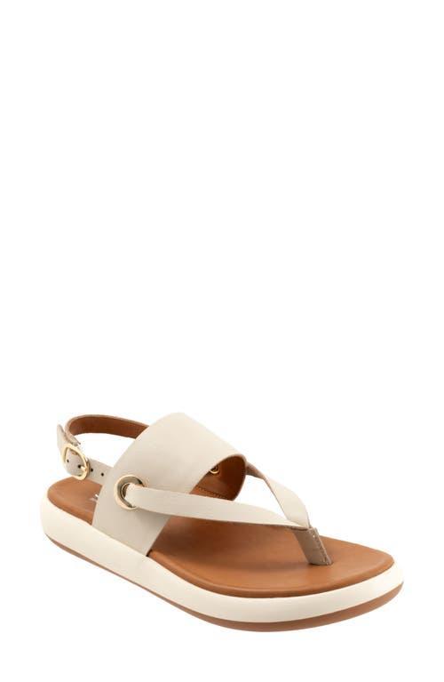 SoftWalk Joliet Women's Sandals Product Image