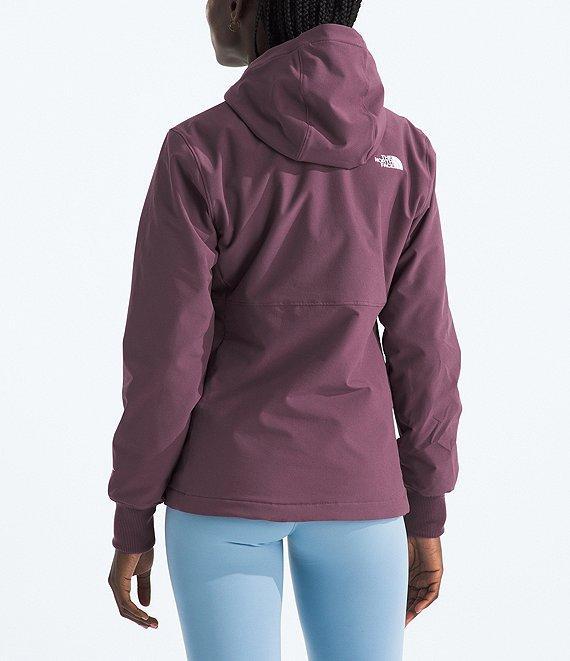 The North Face Shelbe Raschel Hoodie Product Image