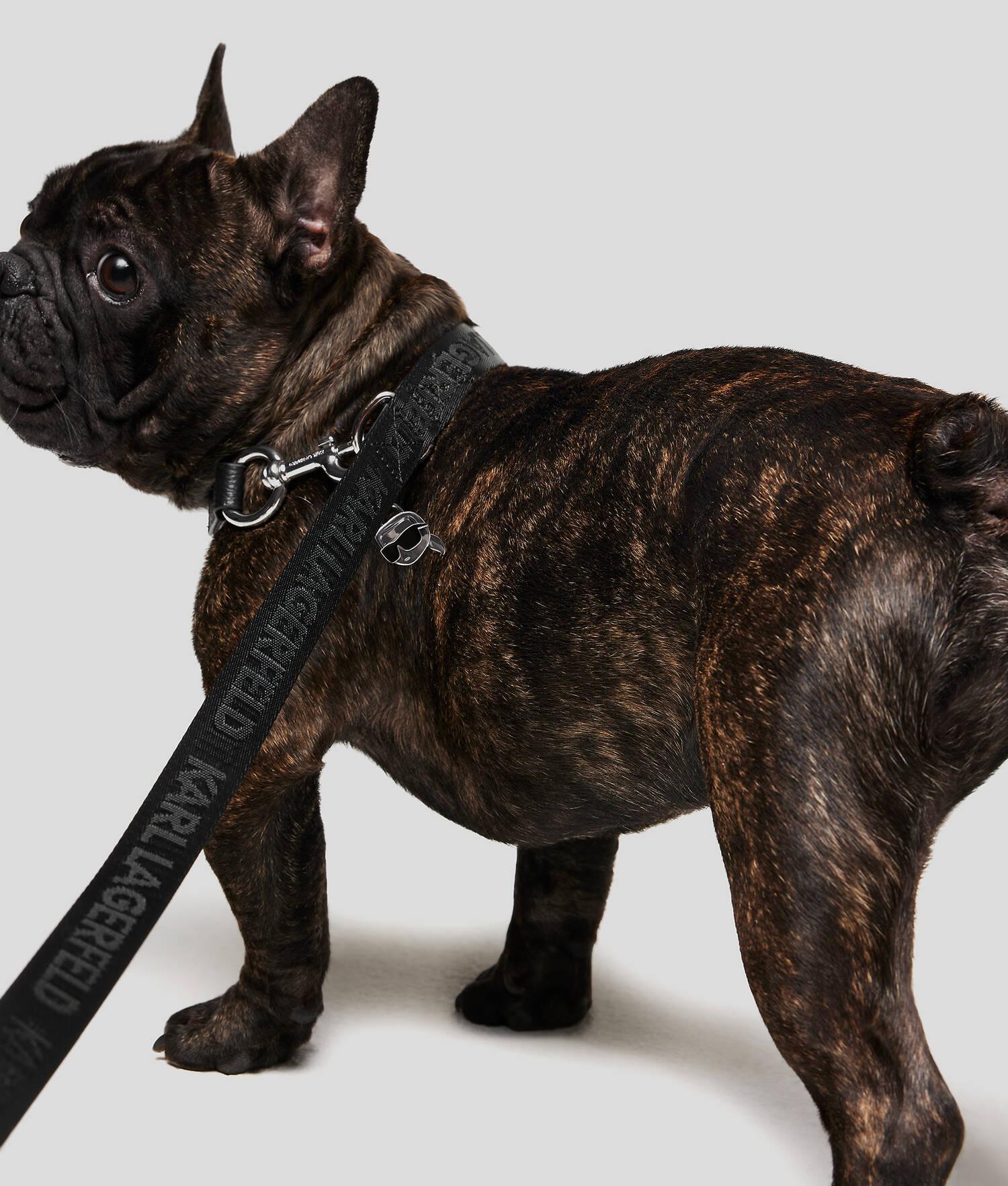 K/PET LEASH AND POUCH Product Image
