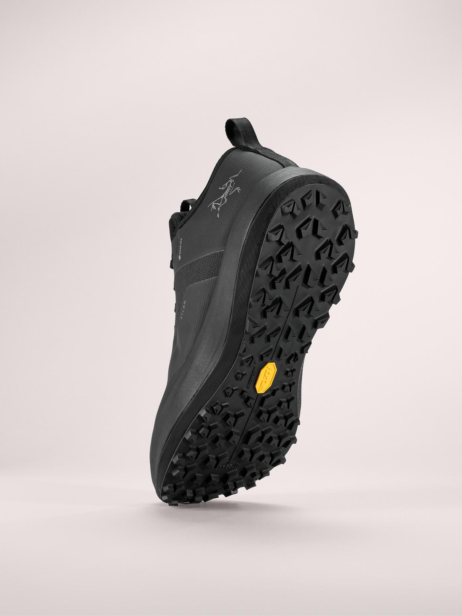 Sylan GTX Shoe Men's Product Image