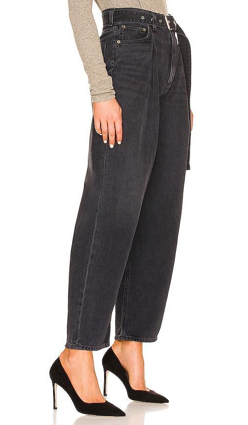 Belted Baggy AGOLDE Product Image