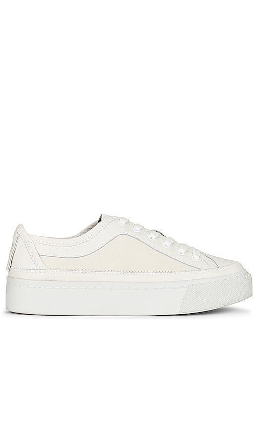 Milla Sneaker ALLSAINTS Product Image
