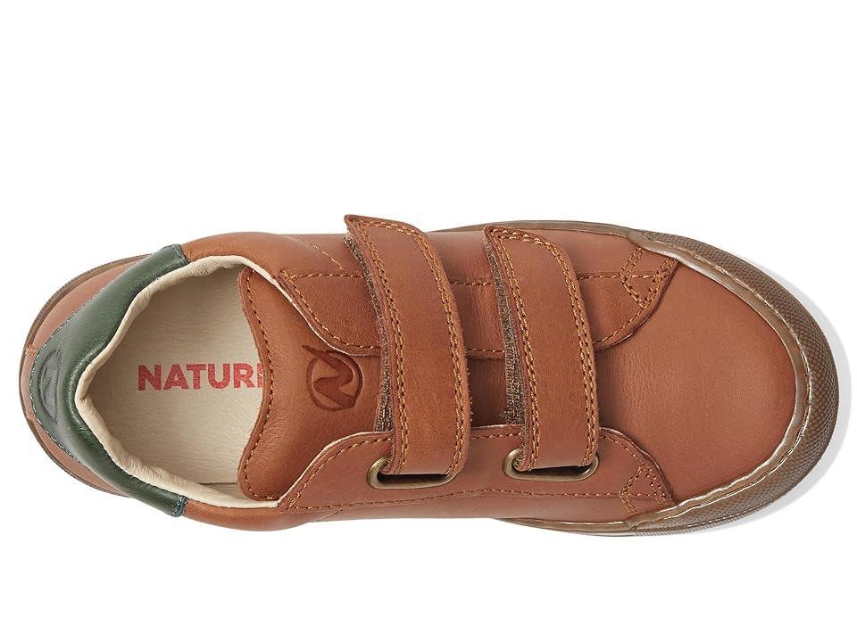 Ariat Mens Clean Country Boot Product Image