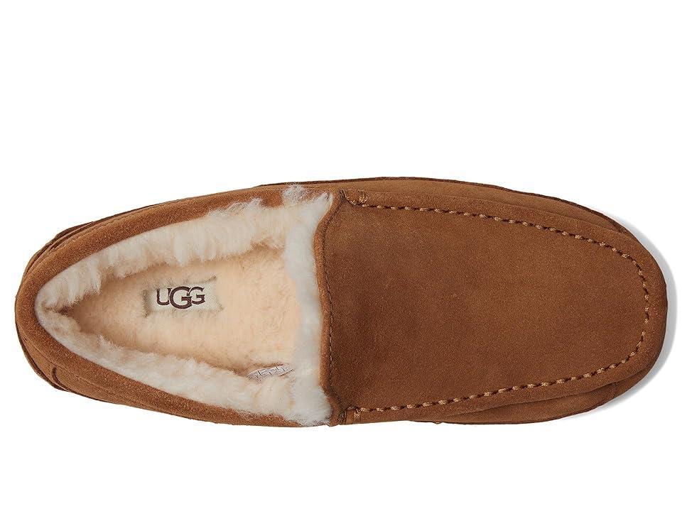 Ugg Mens Ascot Suede Slippers Product Image