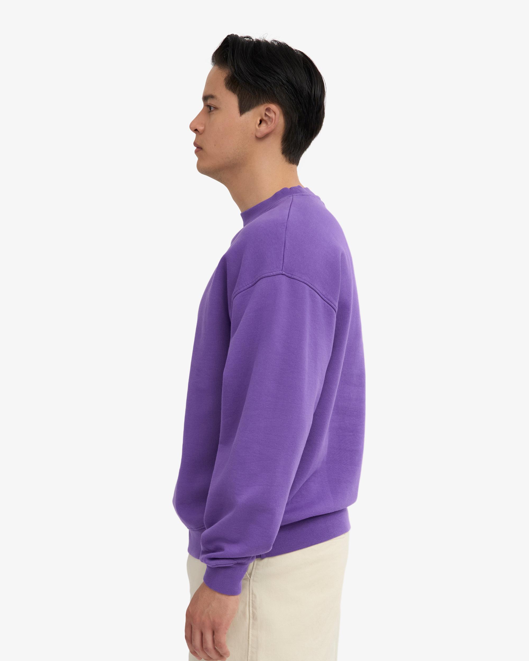 Organic Oversized Crew - Sahara Camel Product Image