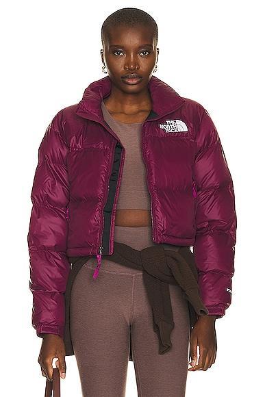 The North Face Nuptse Cropped Jacket Product Image