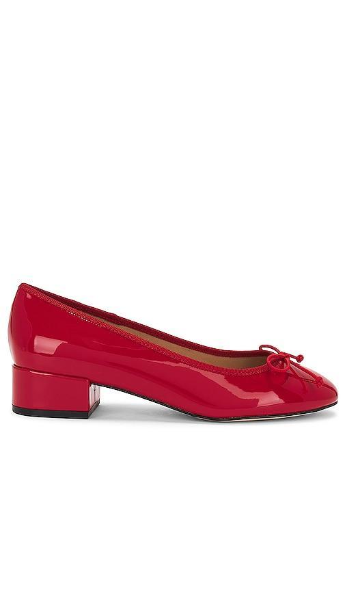 Cherish Flat Steve Madden Product Image