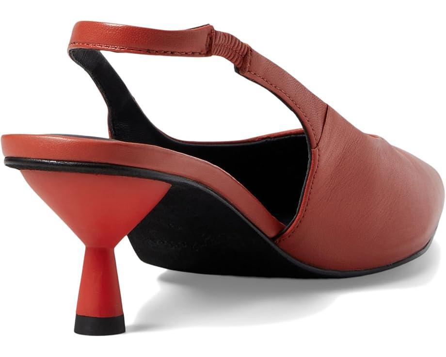 Dainty Product Image