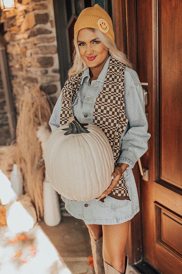 Pumpkin Spice Life Scarf Product Image