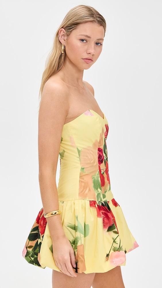 Cara Cara Elena Dress | Shopbop Product Image