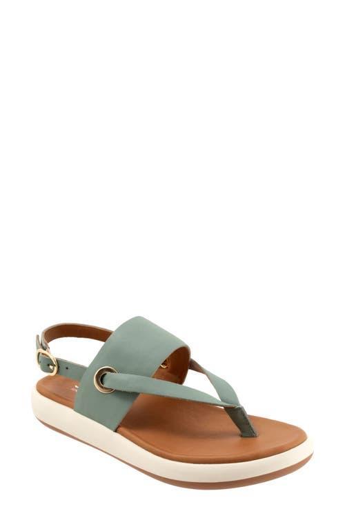 SoftWalk Joliet Women's Sandals Product Image
