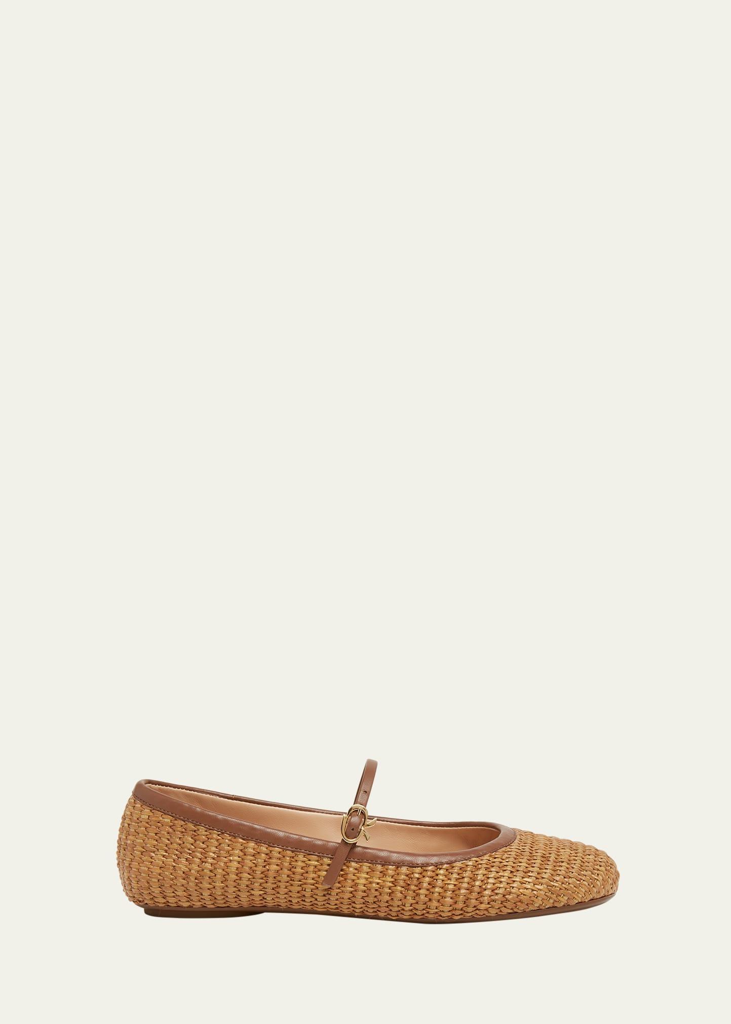 Womens Carla Ballerina Flats Product Image