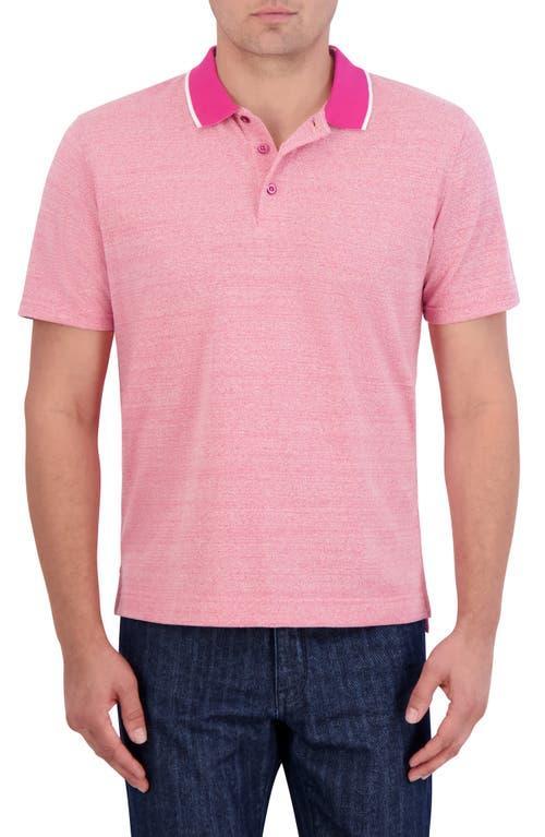 Robert Graham Calmere Cotton Blend Classic Fit Polo Shirt Product Image
