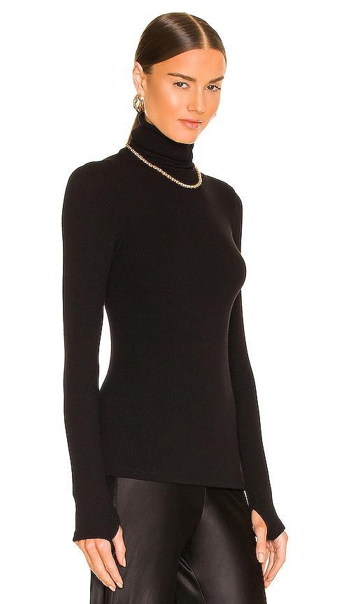 Sweater Knit Long Sleeve Turtleneck Enza Costa Product Image