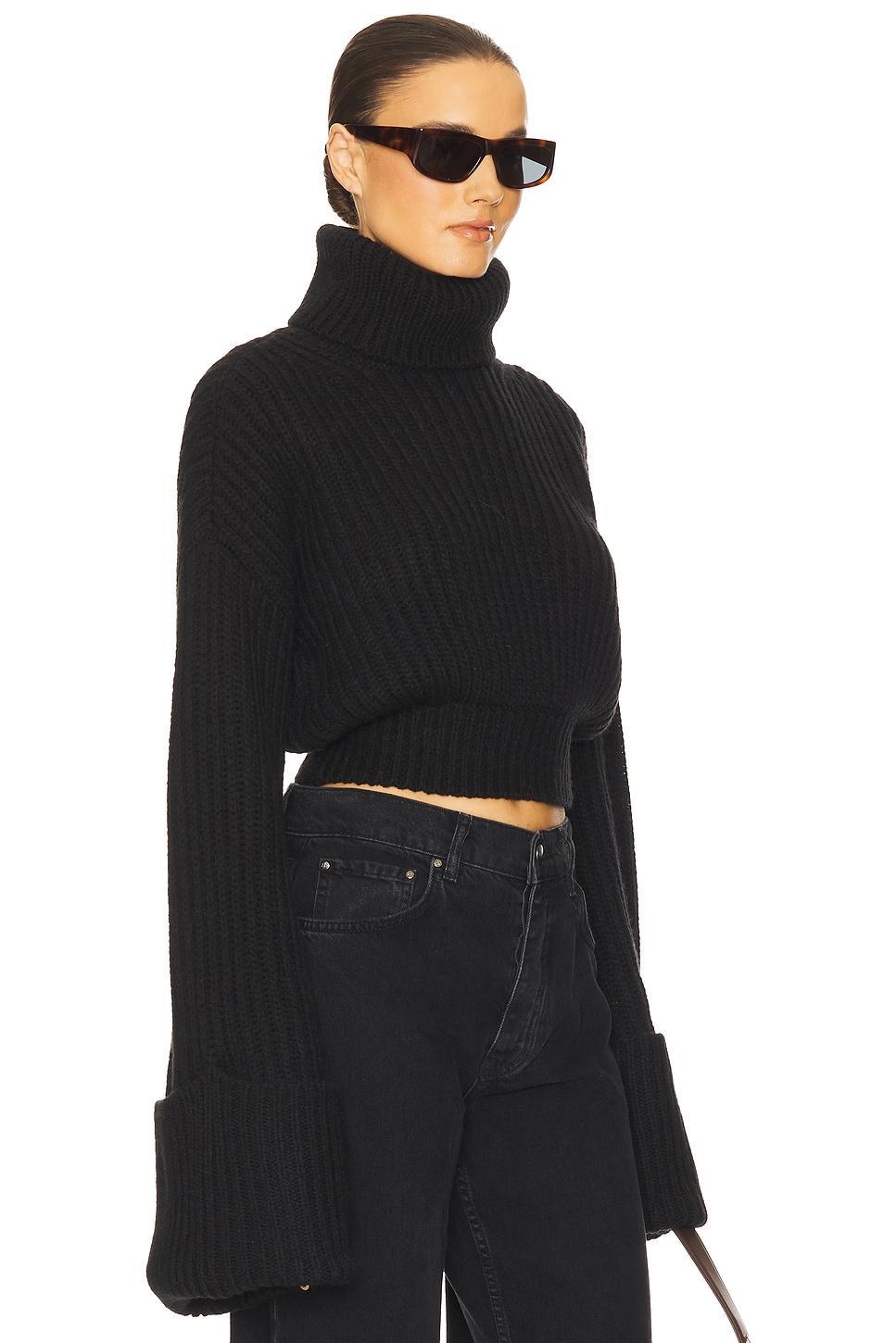 Esti Turtleneck Sweater Helsa Product Image