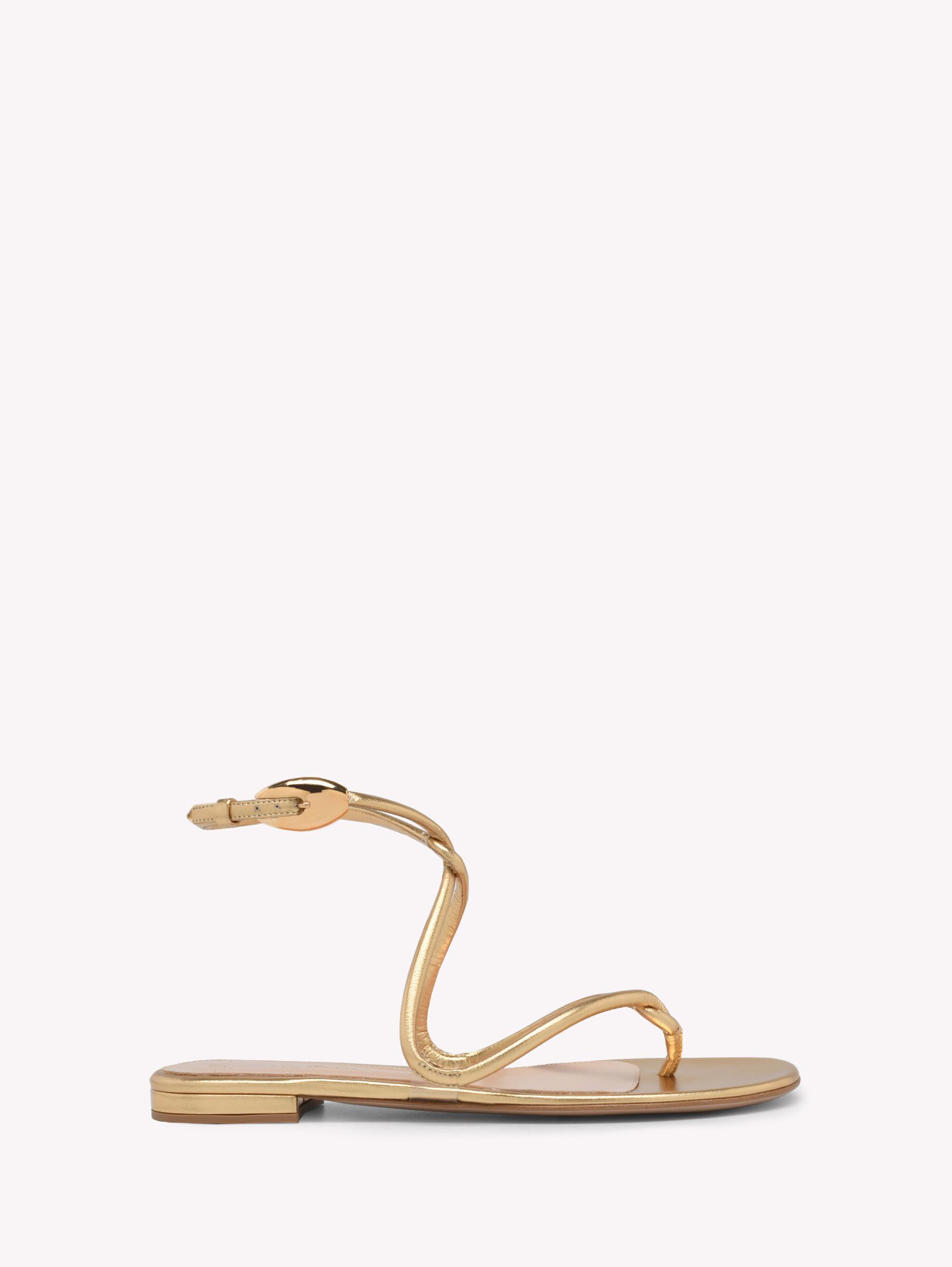 BLACK MAMBA FLAT Gianvito Rossi Product Image